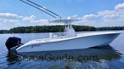 Yellowfin 29 scheda tecnica e recensioni